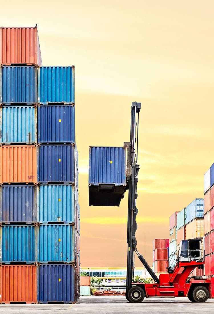 Importación y Exportación